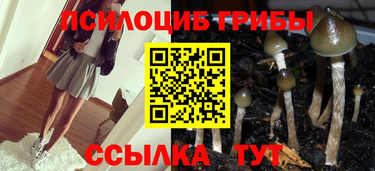 Псилоцибиновые грибы мицелий Комсомольск-на-Амуре